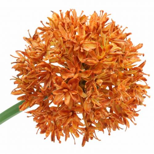 Floristik24 Prydløg Allium kunstig orange Ø7cm H58cm 4stk