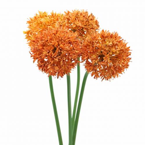 Floristik24 Prydløg Allium kunstig orange Ø7cm H58cm 4stk