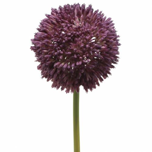 Floristik24 Ornamental allium kunstig lilla Ø12cm 65cm