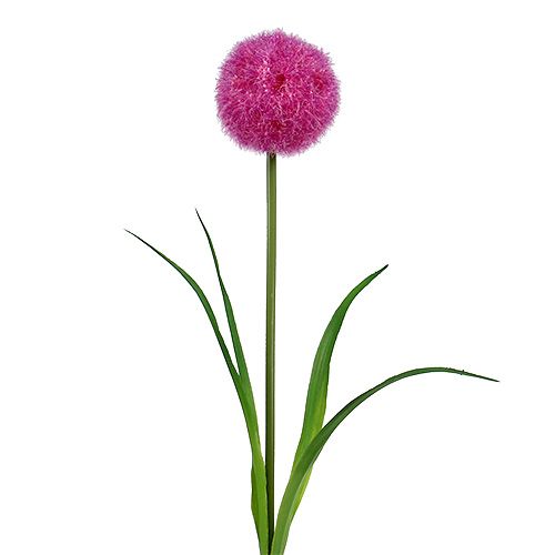 Floristik24 Allium 68cm pink-lilla