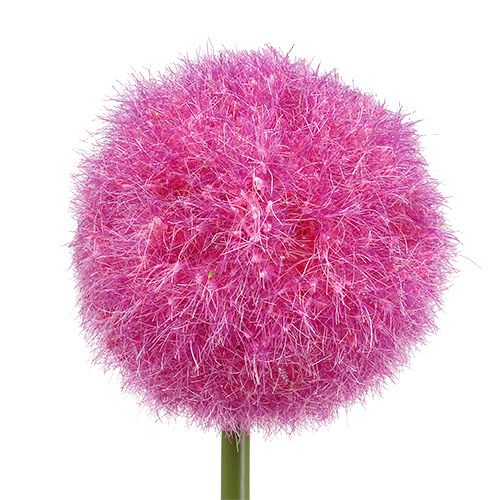 Floristik24 Allium 68cm pink-lilla