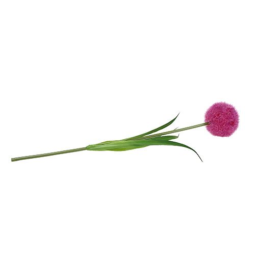 Floristik24 Allium 68cm pink-lilla