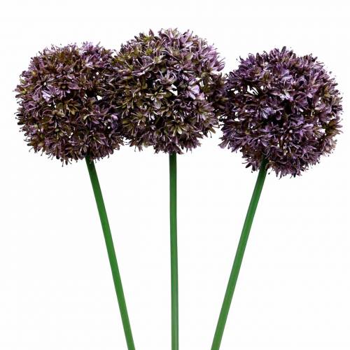 Floristik24 Allium kunstig Lilla 70cm 3stk