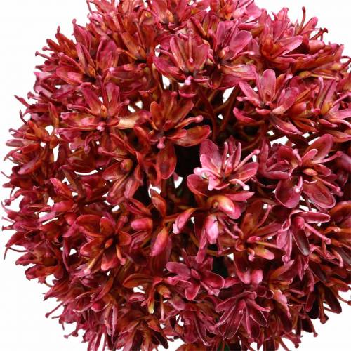 Floristik24 Ornamental allium kunstig Mauve Ø9cm H70cm 3stk