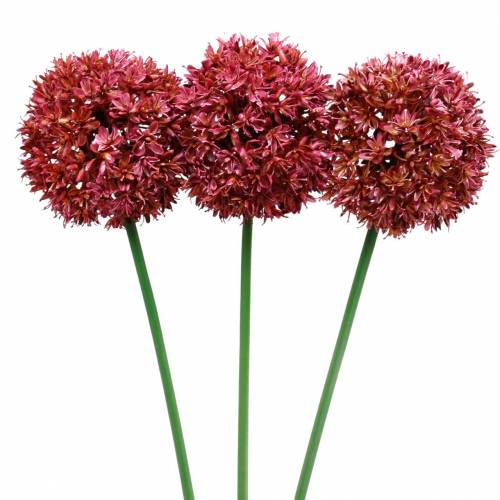 Floristik24 Ornamental allium kunstig Mauve Ø9cm H70cm 3stk