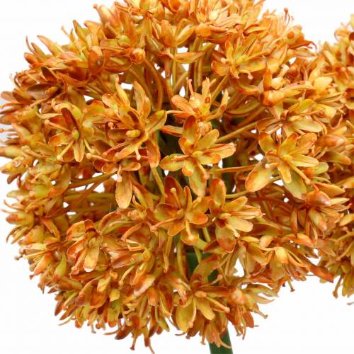 Floristik24 Prydløg Allium kunstig orange 70cm 3stk