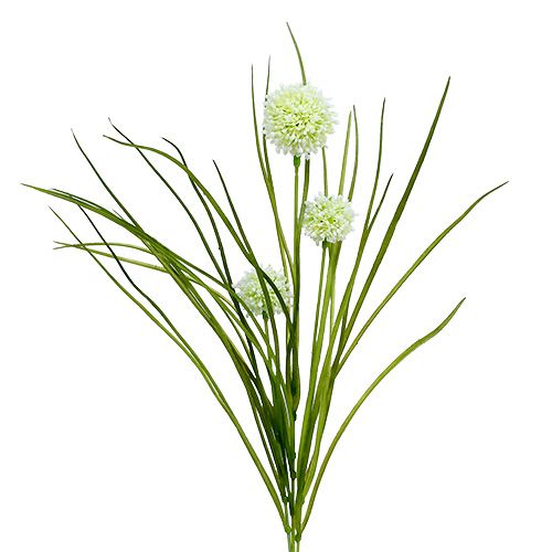 Floristik24 Alliumcreme med græs 65 cm 3stk
