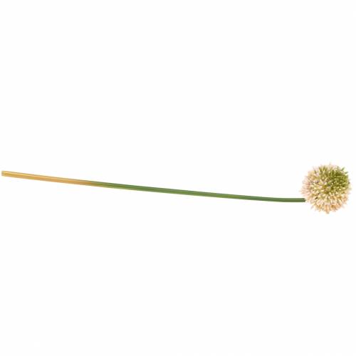 Artikel Ornamental allium kunstrosa / grøn Ø8cm 58cm