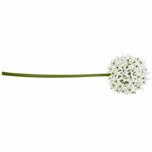 Artikel Dekorativ blomst Allium, kunstig kugleløg, prydløg hvid Ø20cm L72cm