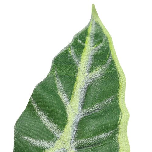 Artikel Alocasia Elefantøre Pil Blad Kunstige Planter Grøn 55cm