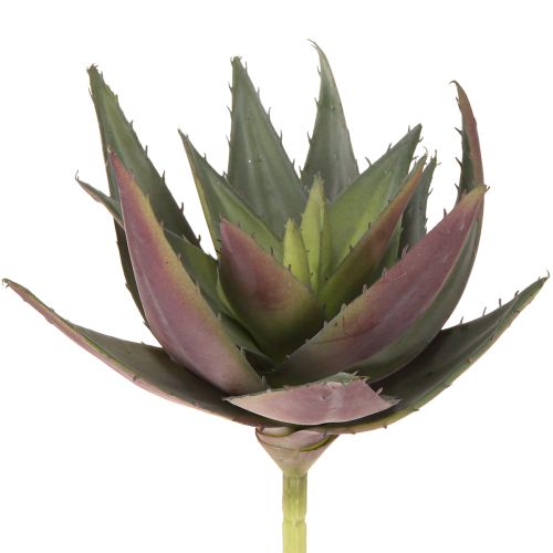 Artikel Aloe Vera Kunstig Plante Lilla Kunstige Sukkulenter Ø18cm