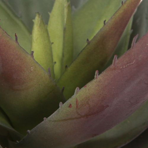 Artikel Aloe Vera Kunstig Plante Lilla Kunstige Sukkulenter Ø18cm