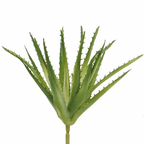 Aloe Vera kunstgrøn 26cm