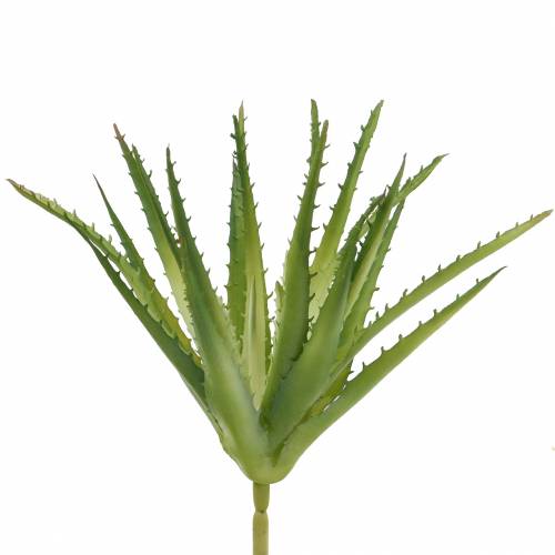 Artikel Aloe Vera kunstig Grøn 26cm