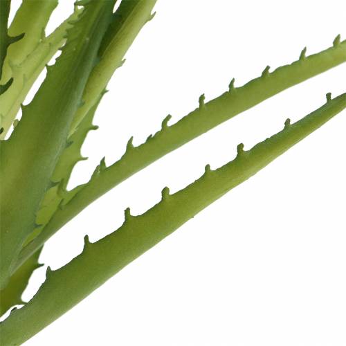 Artikel Aloe Vera kunstig Grøn 26cm