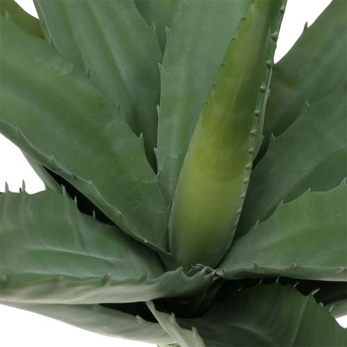 Floristik24 Aloe gren kunstgrøn 47cm