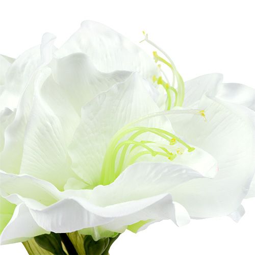 Artikel Amaryllis blomst hvid L 73cm 2stk
