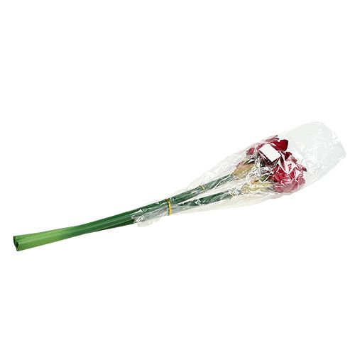 Floristik24 Amaryllis mørkerød L 73cm 2stk