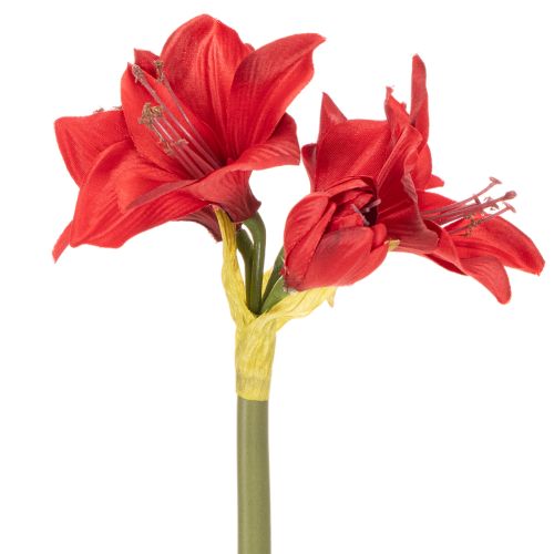 Kunstig rød amaryllisblomst med stilk, blomsterdekoration til jul, 50 cm | Floristik24.dk