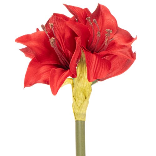 Kunstig rød amaryllisblomst med stilk, blomsterdekoration til jul, 50 cm | Floristik24.dk