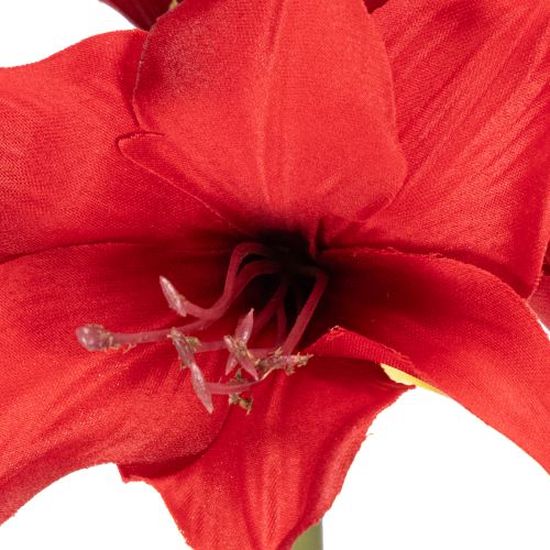 Kunstig rød amaryllisblomst med stilk, blomsterdekoration til jul, 50 cm | Floristik24.dk