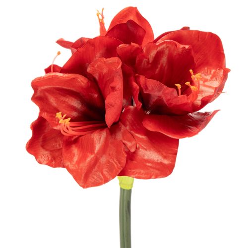 Kunstig amaryllisblomst, rød, lang stilk, til vase og arrangement, 77 cm købe | Floristik24.dk