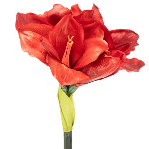 Kunstig amaryllisblomst, rød, lang stilk, til vase og arrangement, 77 cm | Floristik24.dk
