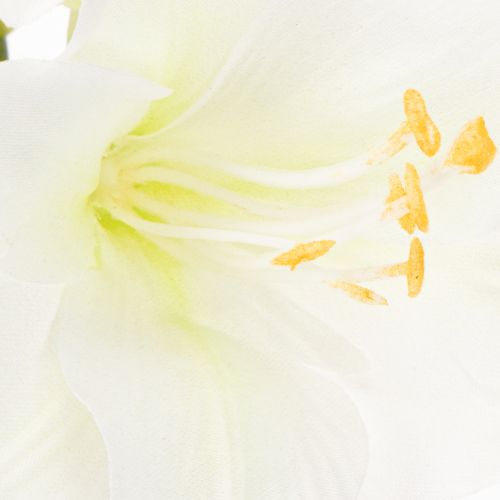 Kunstig amaryllisblomst, hvid, med stilk, advent og jul, 50 cm | Floristik24.dk
