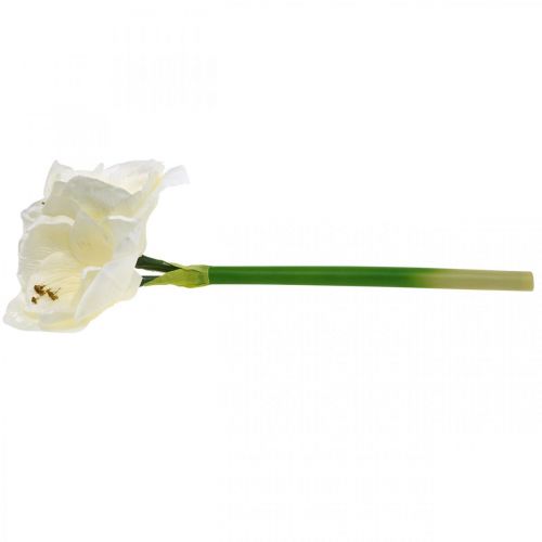Floristik24 Kunstig blomst amaryllis hvid ridder stjerne juledekoration H40cm