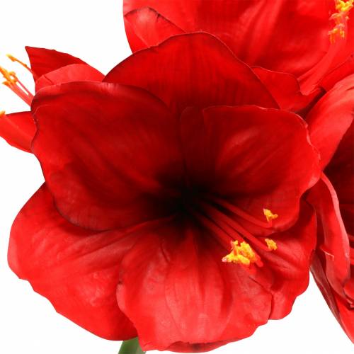 Artikel Amaryllis rød 75 cm
