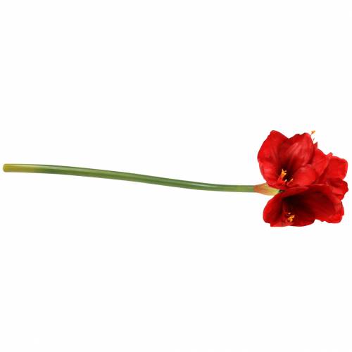 Artikel Amaryllis rød 75 cm