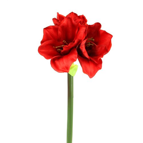 Floristik24 Amaryllis kunstig 60cm rød
