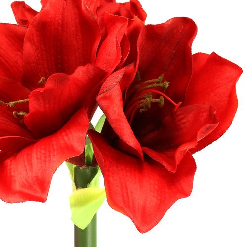 Floristik24 Amaryllis kunstig 60cm rød