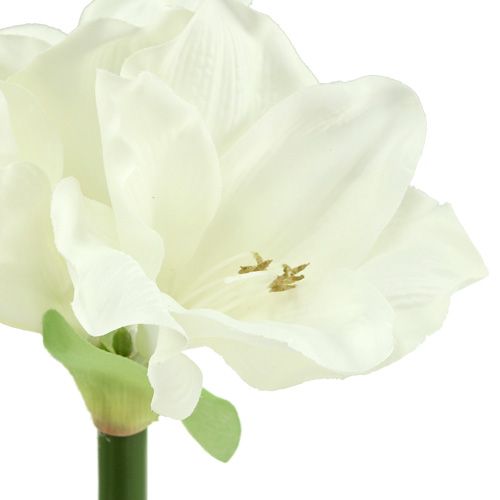 Floristik24 Amaryllis kunstig 60cm hvid