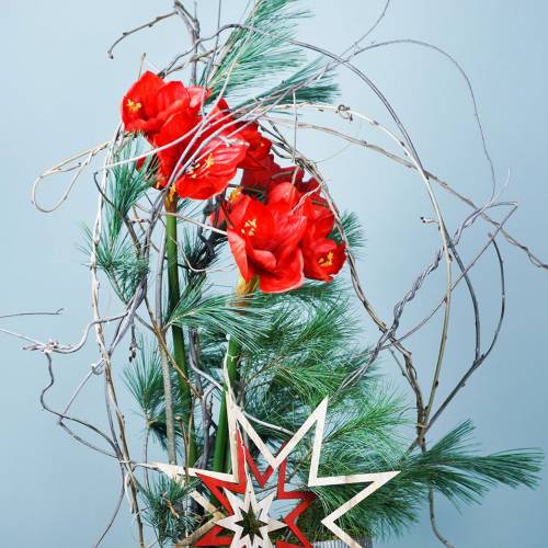 Artikel Amaryllis rød 75 cm