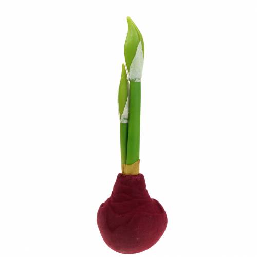 Floristik24 Amaryllis knold med knopper Kunstig 30cm Bourgogne