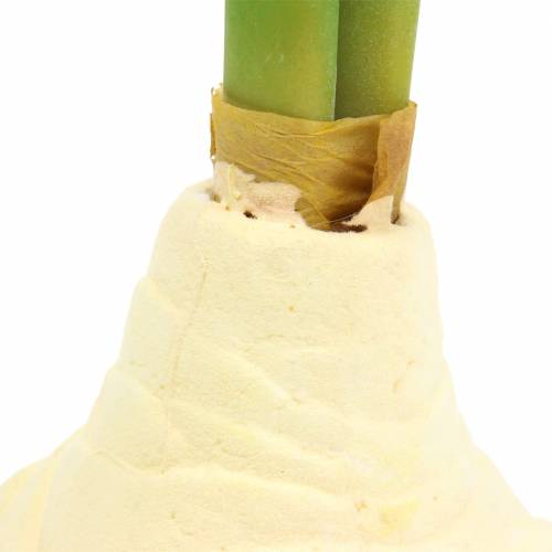 Floristik24 Amaryllis knold med knopper Kunstig hvid H30cm