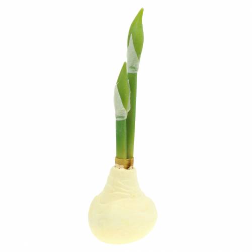 Floristik24 Amaryllis knold med knopper Kunstig hvid H30cm