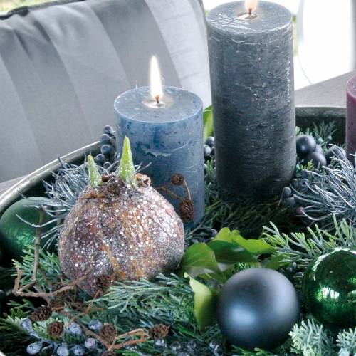 Floristik24 Amaryllis pære med glitter kunstig brun H19cm