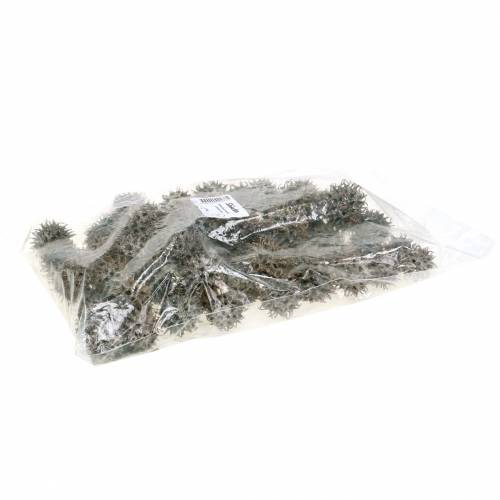 Artikel Sweetgum kegler naturvasket hvid 250g