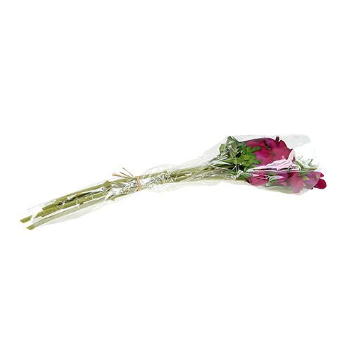 Floristik24 Kunstig anemone Fuchsia 6stk