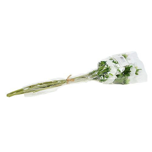 Floristik24 Anemone kunstig hvid 6 stk