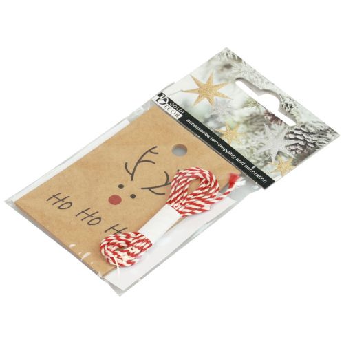 Artikel Julevedhæng til at lave rensdyr 5,5x8,5cm 4 stk