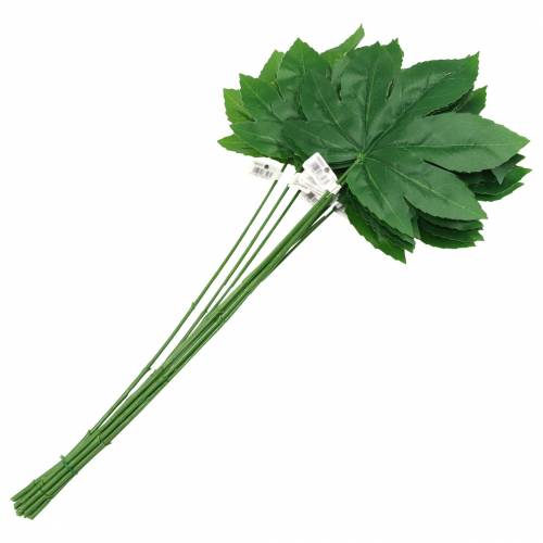 Artikel Aralia blad med stilkegrøn L61,5cm 12stk