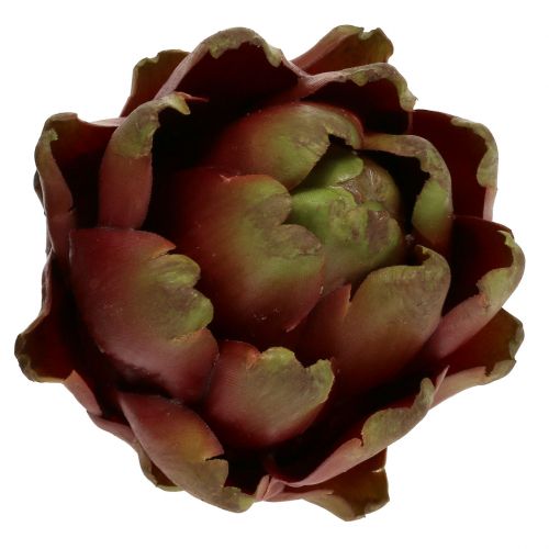 Floristik24 Koglebrun, grøn Ø10cm H11cm