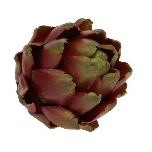 Floristik24 Koglebrun, grøn Ø10cm H11cm
