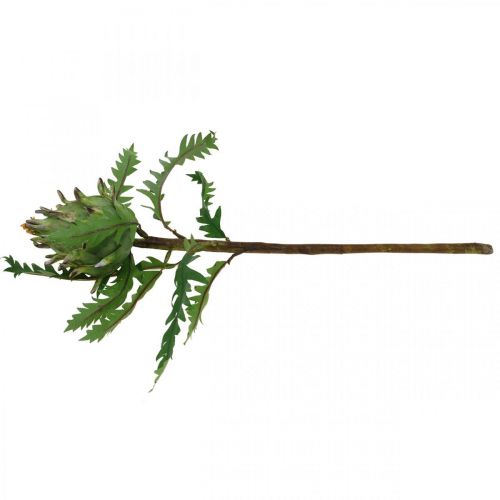Artikel Artiskok Artiskok Grøn Deco Efterår Ø7,5cm H43cm