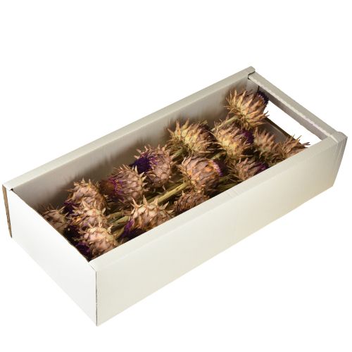 Artikel Tørret artiskokblomst Cynara Ø9cm 16 stk