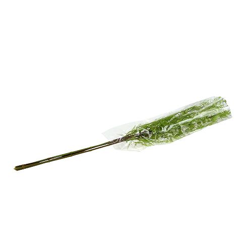Floristik24 Aspargesgren 75cm grøn 3stk