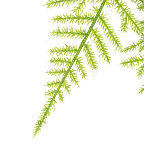 Artikel Kunstig asparges som hængeplante til vedligeholdelsesfri boligindretning, 75 cm